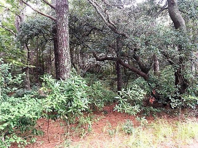 604 Hunt Club Drive Lot 162 Outer Banks Home Listings - Holleay Parcker - Spinnaker Realty Outer Banks (OBX) Real Estate