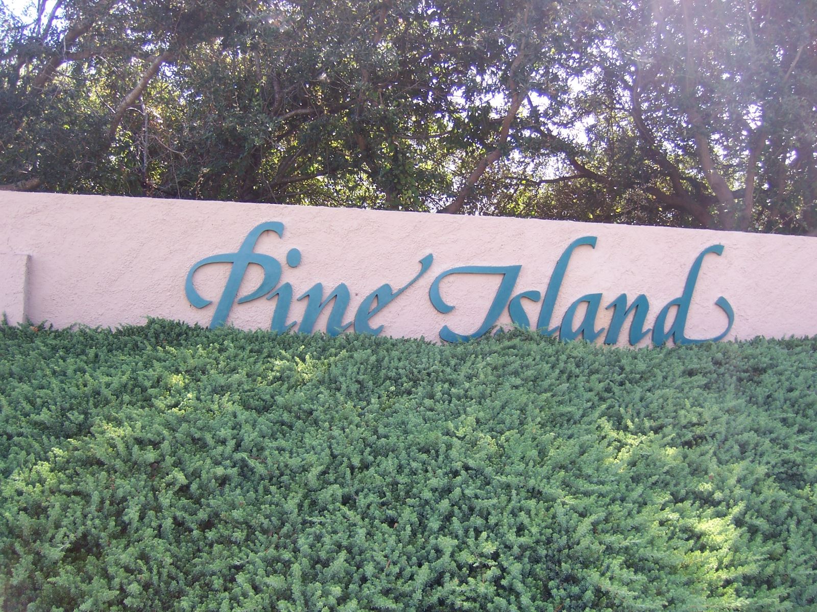 Pine Island Real Estate
